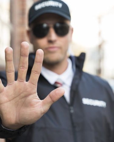 Agentes Vigilantes