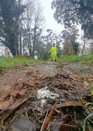 person approaching a flour marking on a path