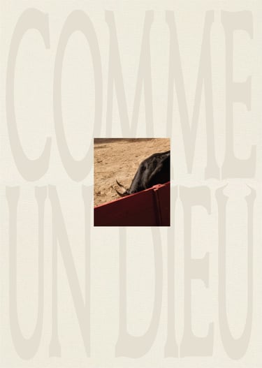 Federico Pompei Debut Book Comme Un Dieu about French thauromachy