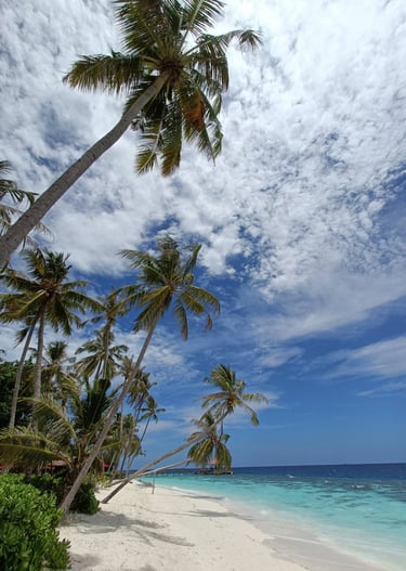 maldives beach