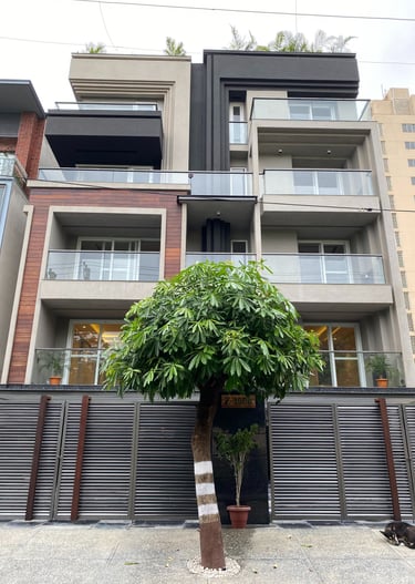 a tree in front of a tall building