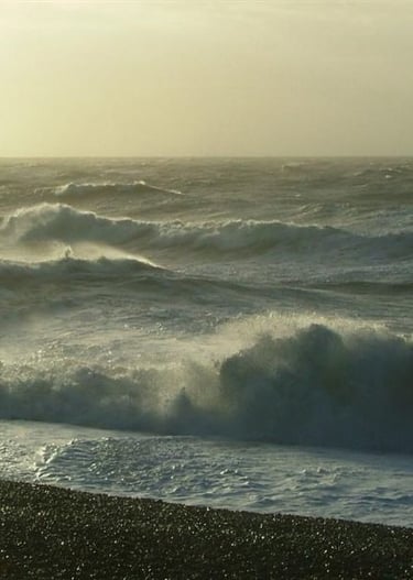 PTSD and depression and resulting Suicidal Ideation disrupts lives of veterans and families