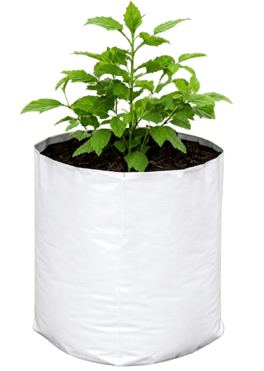Premium LLDPE Grow Bags for Vegetable Farming