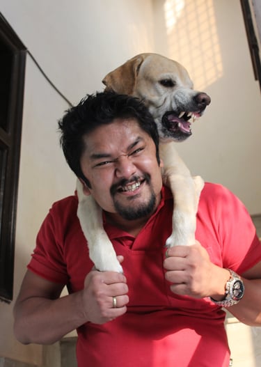 Dog Boarding, Dog Boarding near me, Pet Boarding, Pet Boarding near me, Dog Care, Happy Pettings