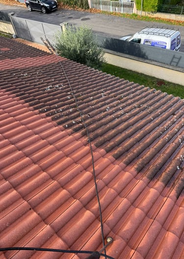 demoussage toiture lyon