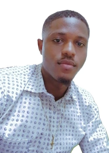 Wilfried Kamga - Freelance IT