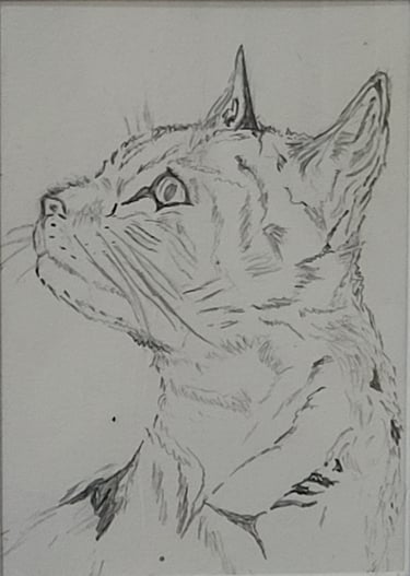 Retrato a lápiz de una gata, 'Pimienta', la gata del autor Óscar Ocaña Parrón, hecho por él