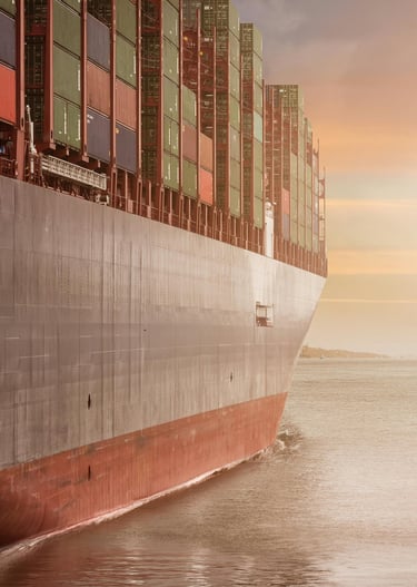 Aufbau von Exportstrukturen