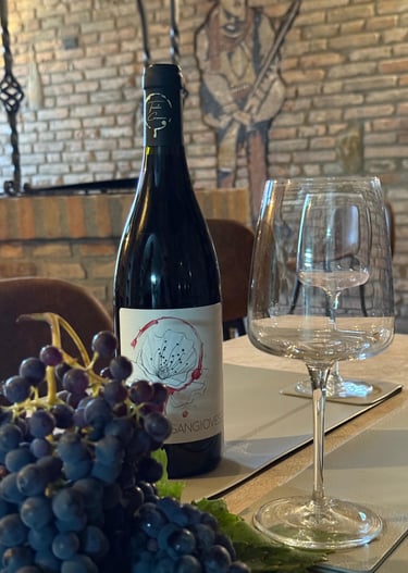 degustazioni cantina bertinoro romagna sangiovese