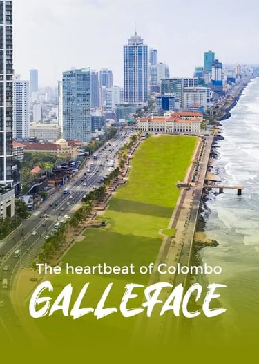 Best way to explore Colombo in one day. Highly recommend their tuk-tuk tours!