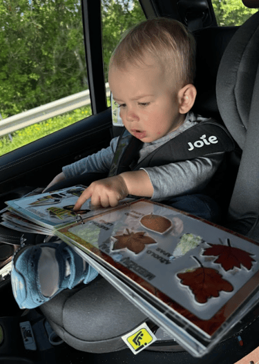 Žaidimas su personalizuota lavinimo-žaidimų knygele