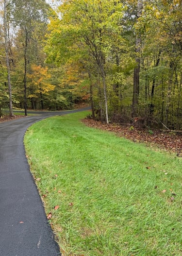 Organic Tall Fescue Lawn in Orange County, NC
