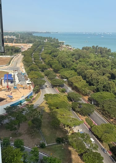 Aerial view of East Coast Park Singapore showing a coastal highway, lush green trees, and ships at sea.