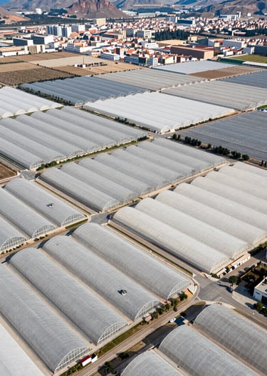 Close-up of a sleek autonomous robot spraying crops with precision in a lush field.