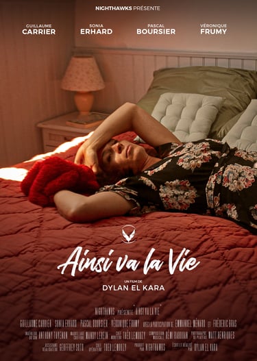 Affiche de AINSI VA LA VIE