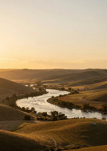 A serene workspace with natural products arranged neatly on a wooden table surrounded by soft greenery.