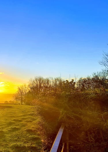 a sunset over a field with a fence and a tree