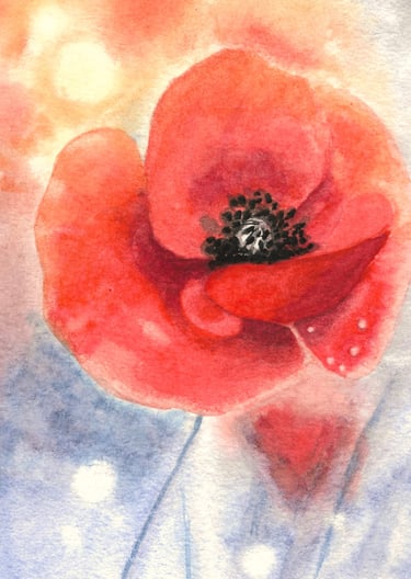 a red poppy flower with a white background