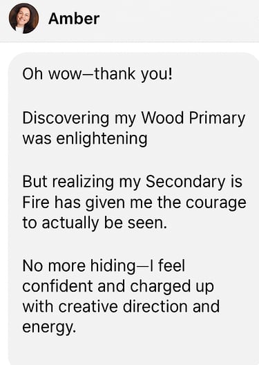 DM screenshot of Wood + Fire Archetype – Visionary entrepreneur celebrates discovering her strategic dual archetype
