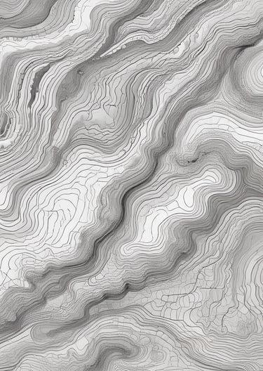A detailed map created by the surveying team.