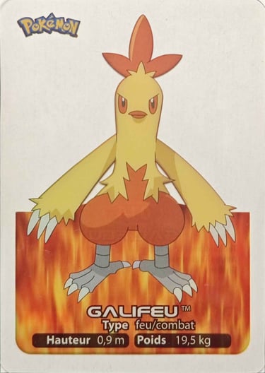 14 Galifeu Lamncards Pokémon série 3