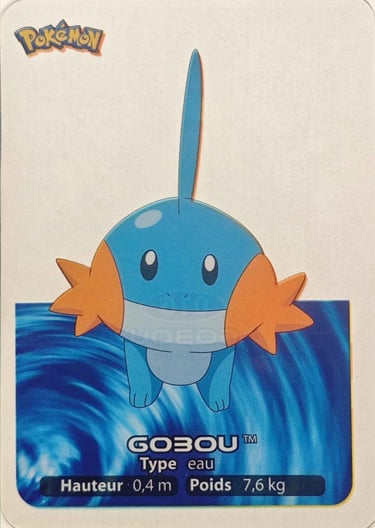 16 Gobou Lamncards Pokémon série 3