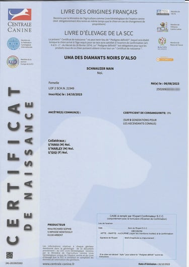 Certificat naissance LOF Uma