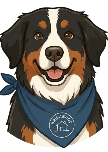 Laika notre bouvier bernois