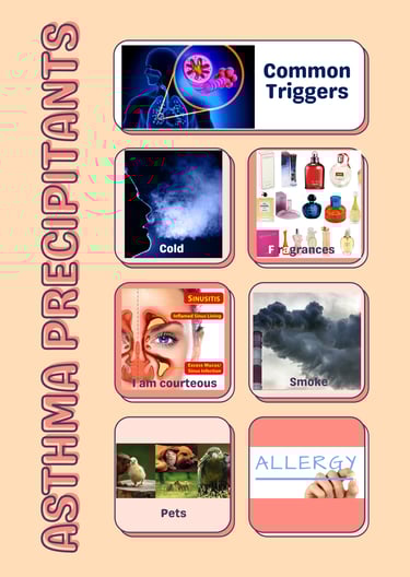 Asthma triggers  common controllable 