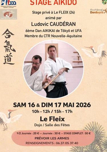 stage d'Aïkido Mérignac Matsukazé