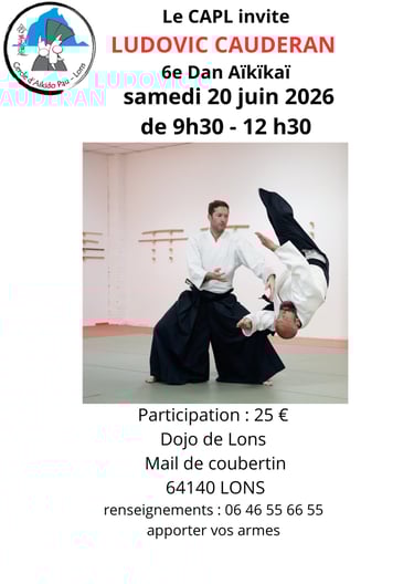 stage d'Aïkido Mérignac Matsukazé