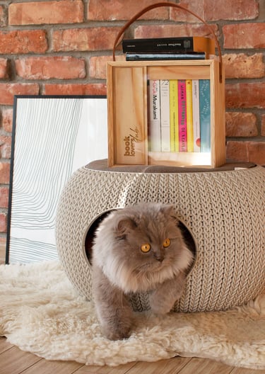Portable designer wooden mini library with handle and sliding panels for easy access to books.