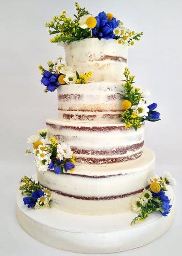 gianni sweets and cakes San Cesareo