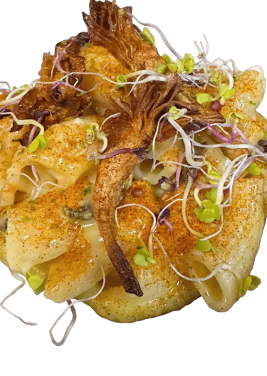 PÂTES RIGATI HABILLÉES D'UNE CRÈME DE POIREAUX, BEURRE DES ALPES, ARTICHAUTS