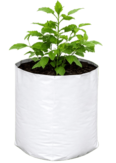 Heavy Duty Grow Bags for Commercial Farming