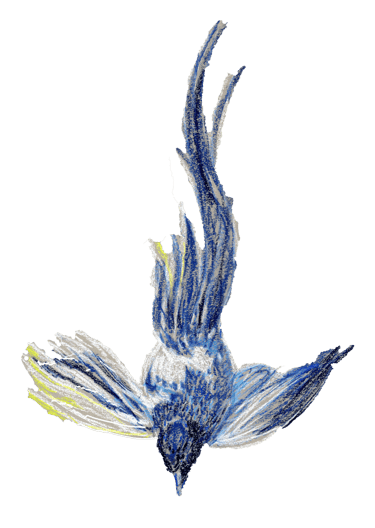 Tarifs accessibles adaptatifs