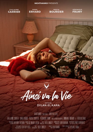 Affiche de AINSI VA LA VIE