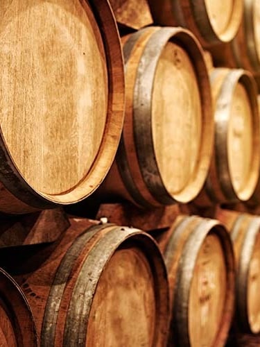 a bunch of barrels of tequila uno tequila agave