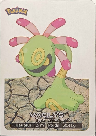 107 Vacilys Lamincards Pokémon série 3