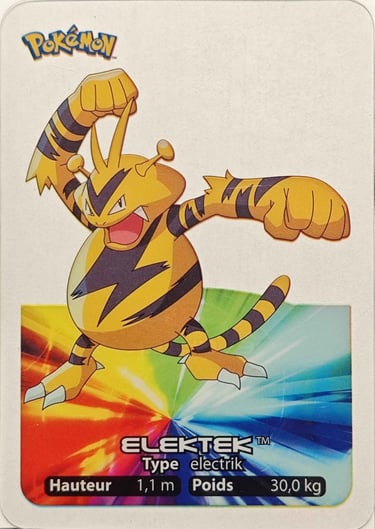 125 Elektek Lamincards Pokémon série 1