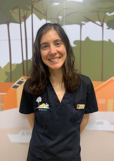 docteur El Attar Sofi vétérinaire 