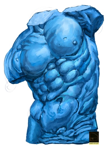 anatomy sculpture art of human torso