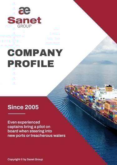 sanet-company-profile-english