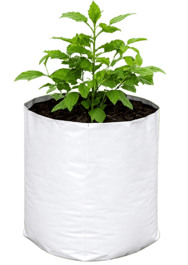 UV Stabilized Grow Bags Manufacturer India