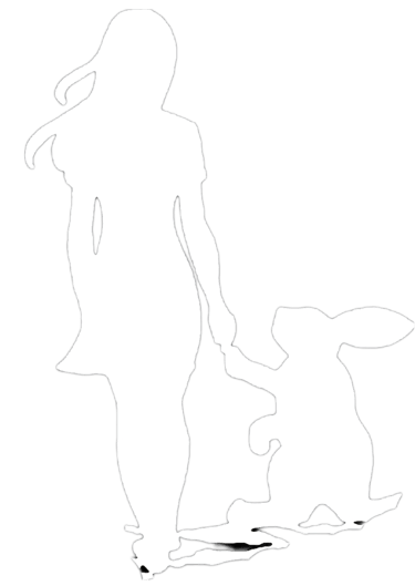 follow the white rabbit