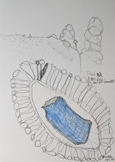 karine-nguyen-van-tham-dessin médiumnique, à mon frère, rite funéraire, mine graphite et crayon bleu