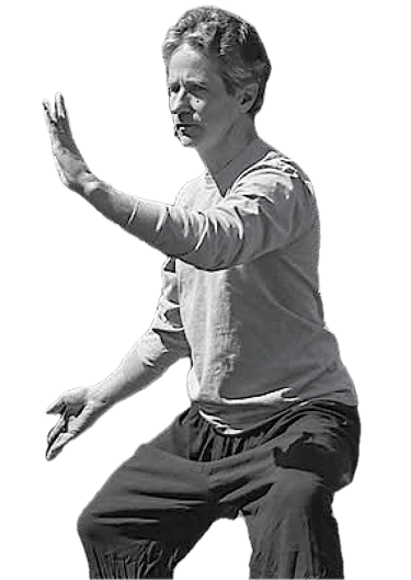 Bob's Chen Style Taijiquan (Tai Chi) form.