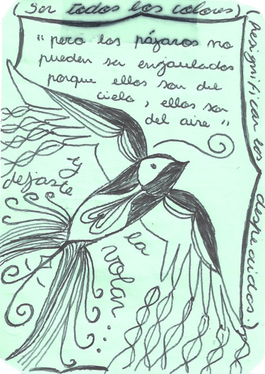 dibujo en lapicera sobre pájaro