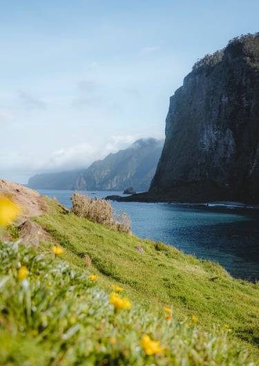Vue panoramique depuis le Miradouro do Guindaste sur les falaises de Faial, Madère - Tanguy Belin