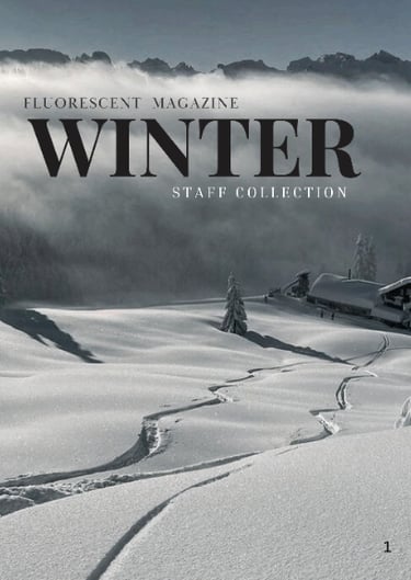Winter collection by Fluorescent magazine
